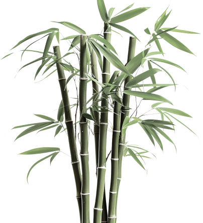 The secret of a better nights sleep.